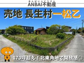 千葉県長生郡長生村一松乙