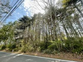 山梨県北杜市大泉町谷戸