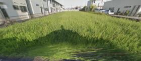 愛知県一宮市浅野字神明下