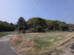 山口県熊毛郡田布施町大字波野