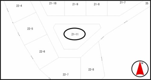 Image 21