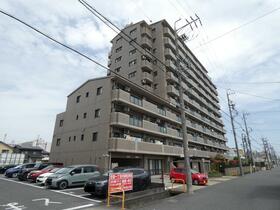 バンベール芝田?