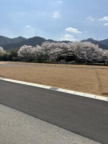 兵庫県丹波篠山市味間南