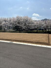 兵庫県丹波篠山市味間南