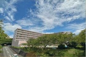 静岡県伊東市富戸