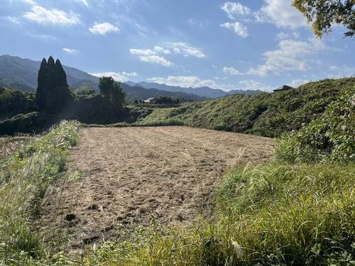 Land, 大分県 大分市