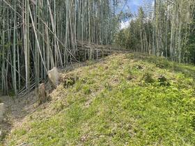 山口県熊毛郡田布施町大字麻郷奥