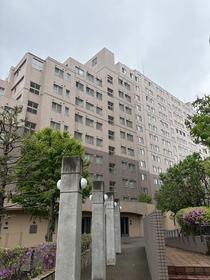 北海道札幌市西区琴似二条２丁目