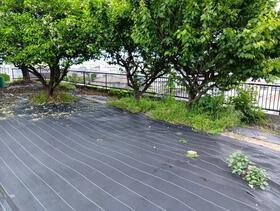 広島県福山市水呑町