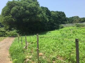 長崎県西海市西彼町小迎郷