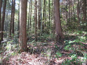 岡山県真庭市阿口