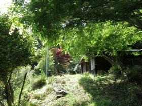 埼玉県飯能市大字高山