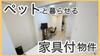 上町駅より徒歩13分 2階 新築の賃貸物件