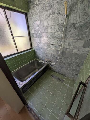 Image 11