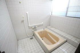 Image 21