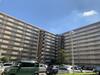 イトーピア高松 10階 築51年2ヶ月の賃貸物件