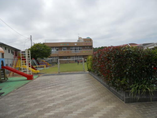 Image 7