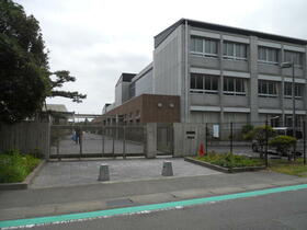 Image 9