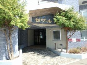 セザール円山北
