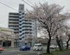 徳山駅より徒歩17分 6階 築35年1ヶ月の賃貸物件