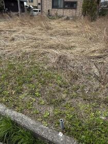 滋賀県高島市新旭町針江