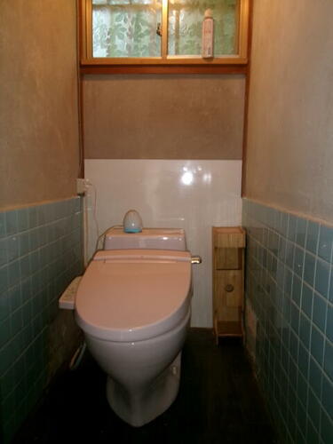 Image 12