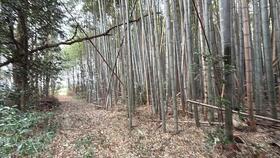 栃木県那須塩原市上厚崎