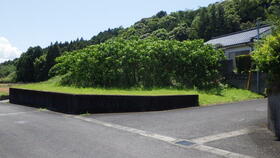 鹿児島県南九州市川辺町古殿