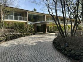 長野県北佐久郡軽井沢町大字軽井沢