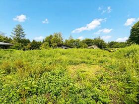 長野県北佐久郡軽井沢町大字長倉