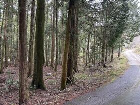 三重県いなべ市藤原町山口
