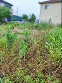 愛知県高浜市芳川町２丁目
