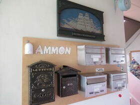 AMMON_その他_8