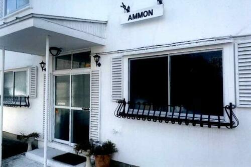 AMMON_トップ画像
