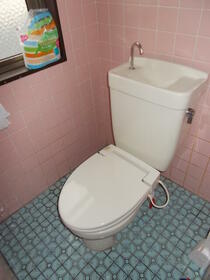 Image 15