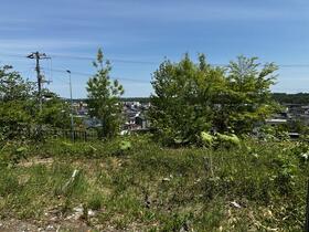 北海道河東郡音更町共栄台東１０丁目