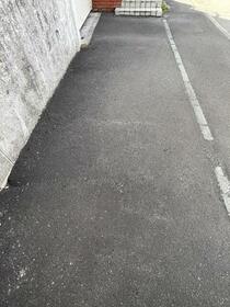 Image 15