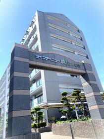 ライフアベニュー城山３番館