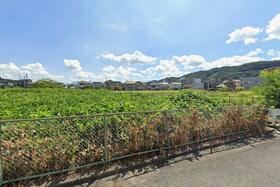 和歌山県和歌山市内原