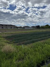 茨城県北茨城市中郷町上桜井