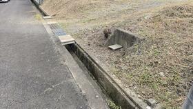和歌山県岩出市紀泉台