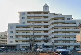 徳島県鳴門市撫養町木津
