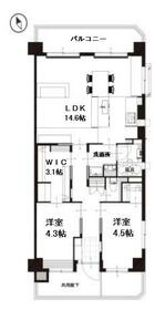 京都府宇治市宇治琵琶