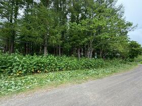 北海道虻田郡倶知安町字山田