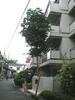 コーポ小山 3階 築42年3ヶ月の賃貸物件