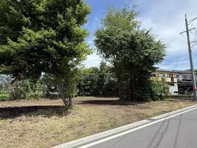 長野県北佐久郡御代田町大字御代田
