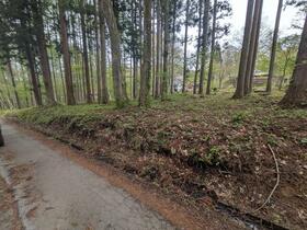 長野県上水内郡信濃町大字野尻
