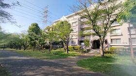 ライブ・アート春の道　第４号棟
