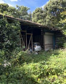 千葉県山武郡芝山町小池