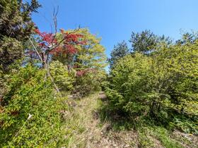 detached 山形県西村山郡河北町谷地字砂田